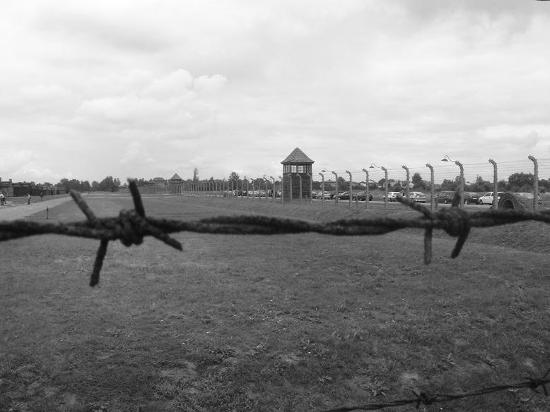 Auschwitz.jpg