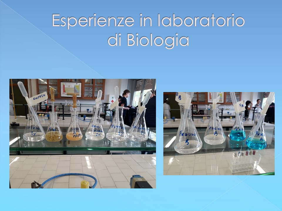 Esperienze in laboratorio