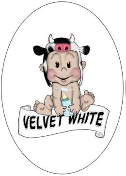 Logo Velvet white